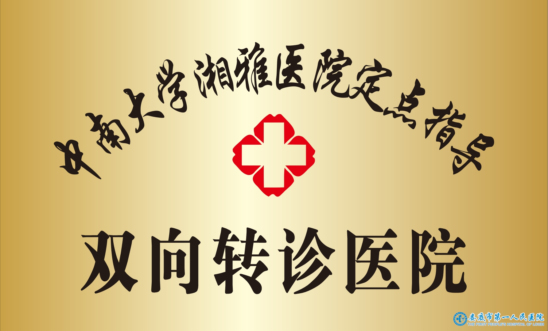 中南大学湘雅医院定点指导双向转诊医院