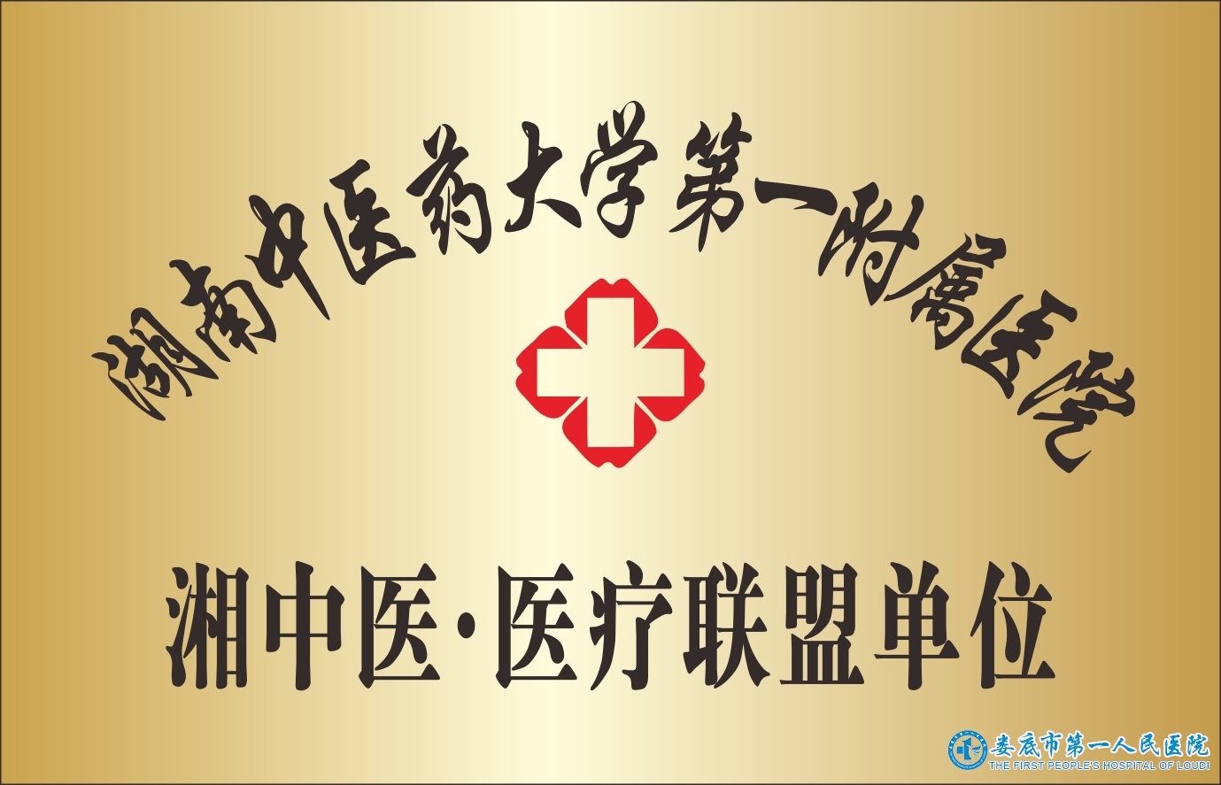 湘中医·医疗联盟单位